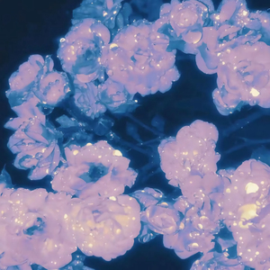 国产乱人伦精品视频
